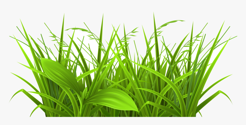 Grass Decorative Clipart Picture Gallery High Transparent - Grass Clipart, HD Png Download, Free Download