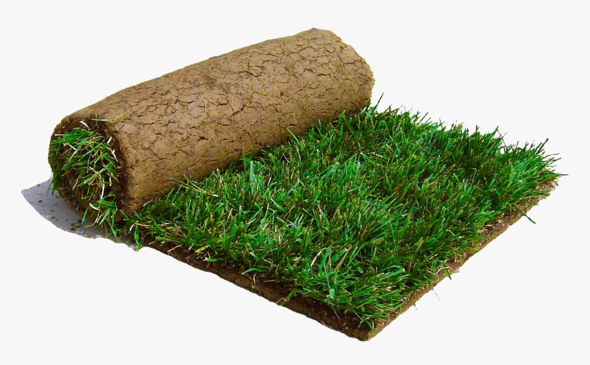 Saw A Patch Of Sod Laying On The Road - Sod Png, Transparent Png, Free Download