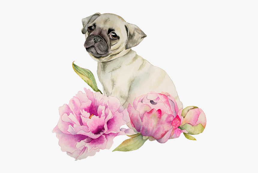 Watercolor Paintings Of Pugs, HD Png Download, Free Download