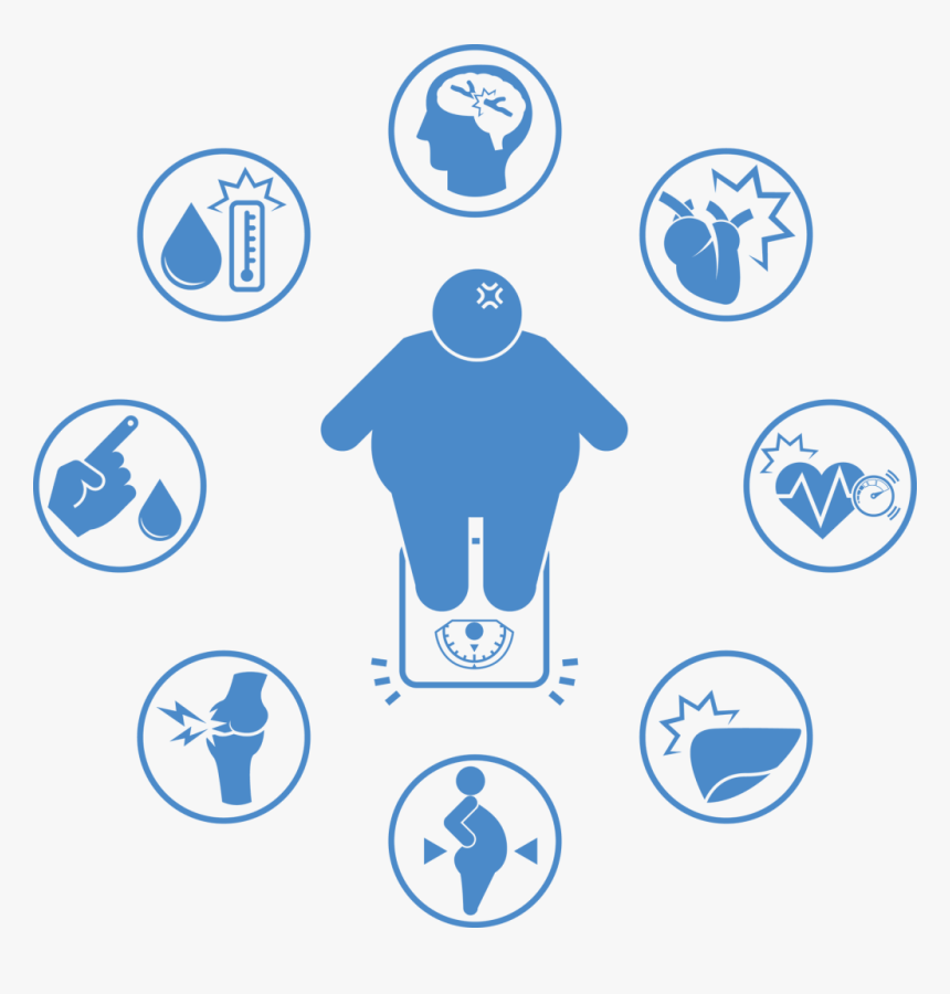 Major Health Risks - Obesity Icon, HD Png Download, Free Download