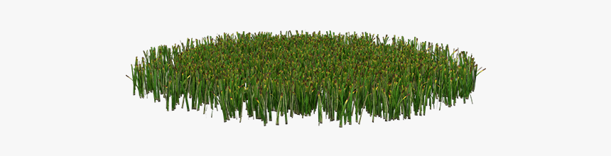 Grass Patch Png, Transparent Png, Free Download