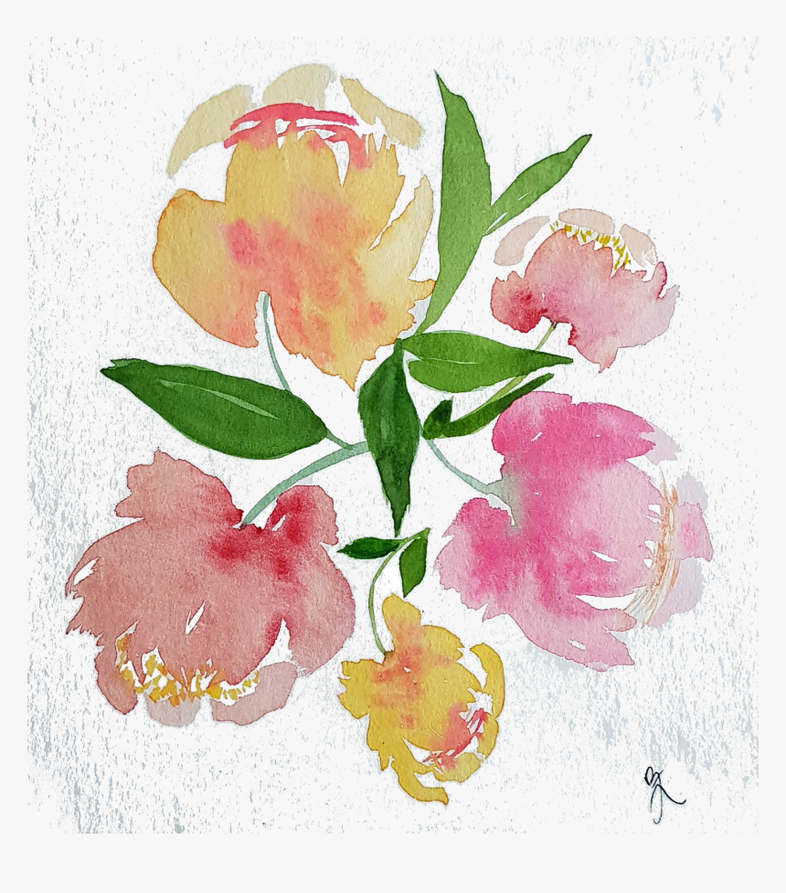 Watercolor Peonies Png, Transparent Png, Free Download