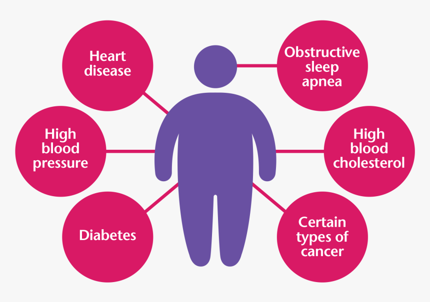 Employee Wellness - Causes Of Nafld, HD Png Download, Free Download