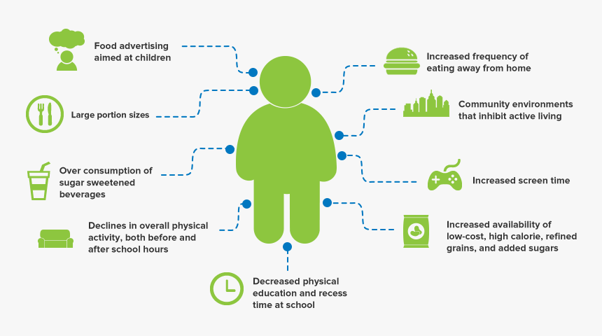 Childhood Obesity Causes, HD Png Download, Free Download