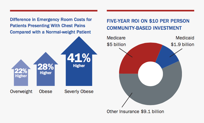 Medication Transparent Obesity - Obesity Costs, HD Png Download, Free Download