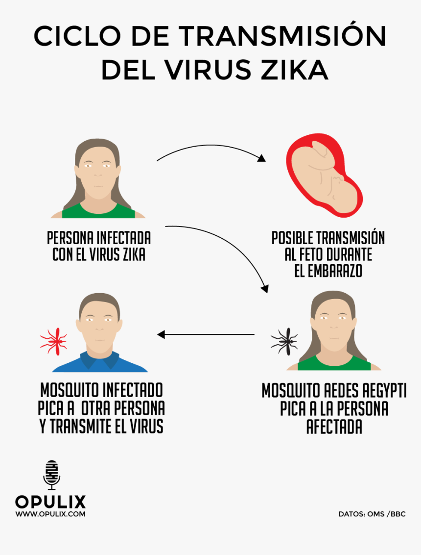 Se Transmite El Zika, HD Png Download, Free Download