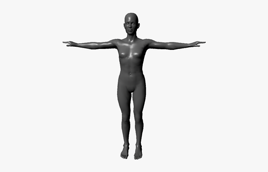 Human Body - Boy Body 3d Model, HD Png Download, Free Download