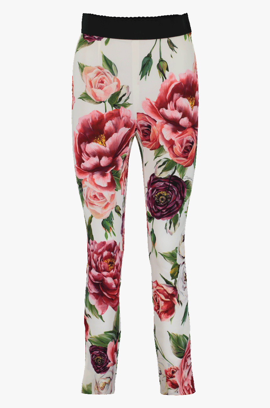Leggings, HD Png Download, Free Download