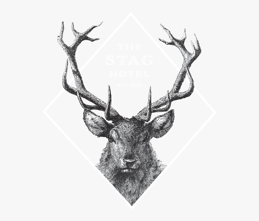 Deer Head Drawing, HD Png Download, Free Download