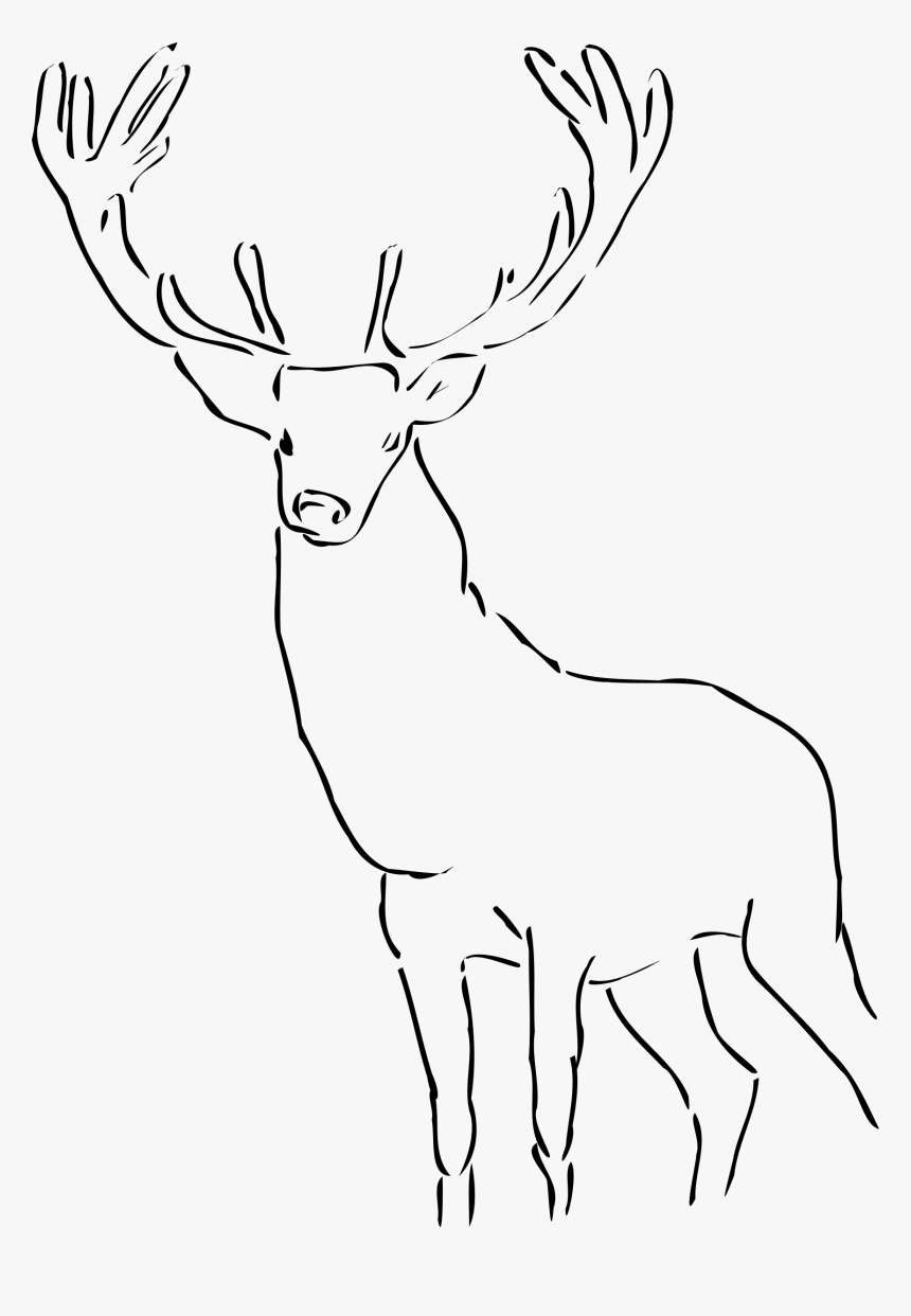Stag Clipart Drawn - Reindeer Images Black And White, HD Png Download, Free Download