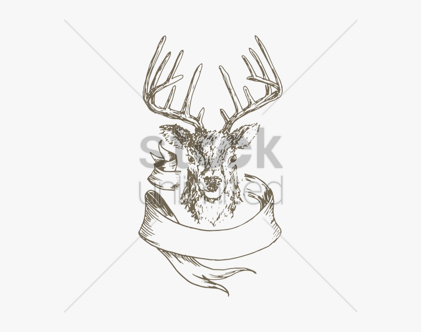 Drawn Stag Stock Market - Sketch, HD Png Download, Free Download