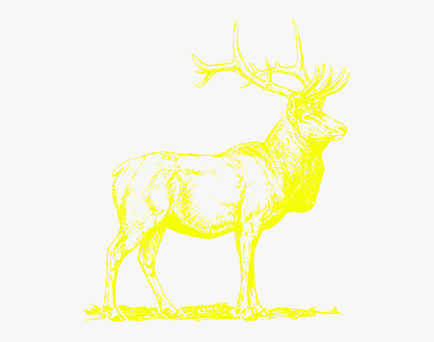 Deer, HD Png Download, Free Download