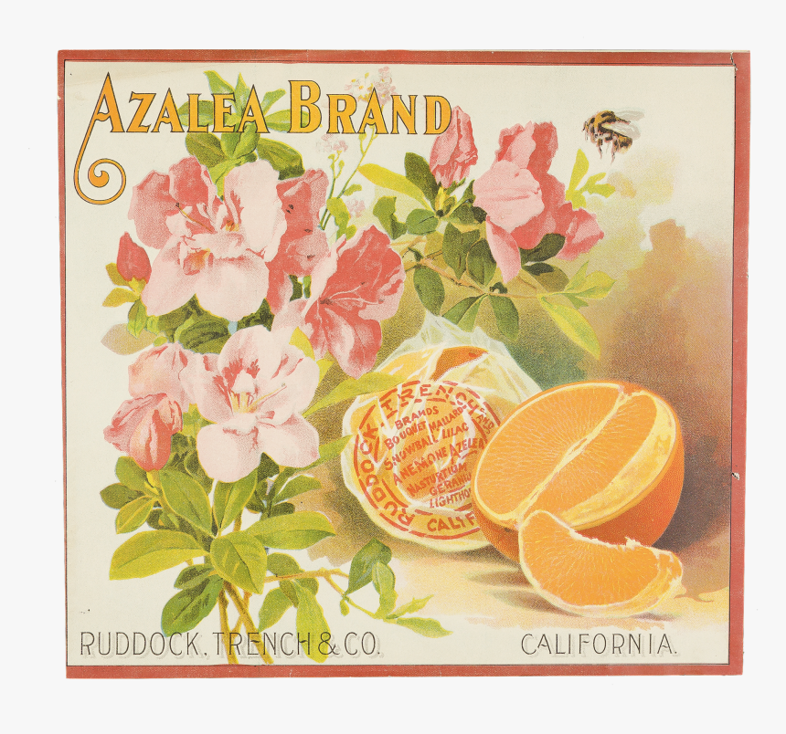 Fruit Label - "azalea Brand - Garden Roses, HD Png Download, Free Download