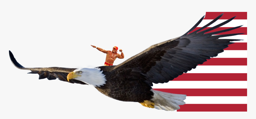 Transparent Hulk Hogan Png - Riding A Bald Eagle, Png Download, Free Download