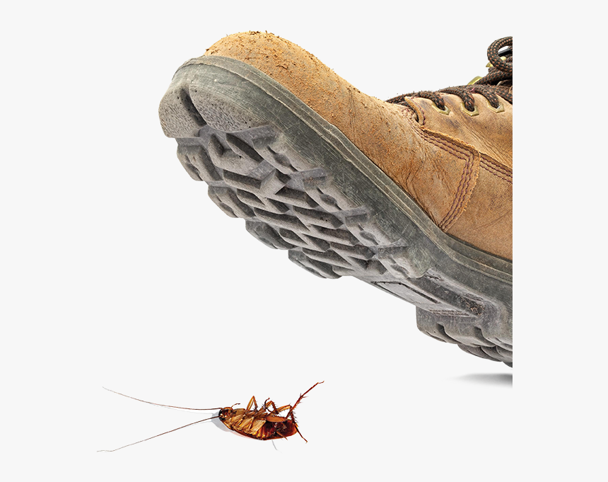 Control Cucarachas Copy - Shoe Stepping On Roach, HD Png Download, Free Download