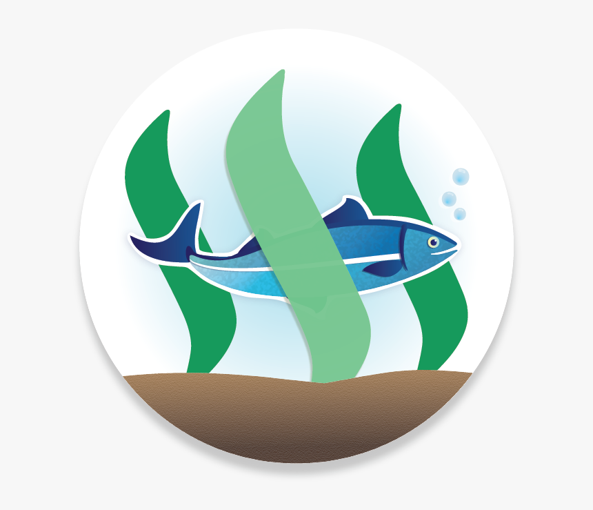 Logo Ms - Minnow Support Project, HD Png Download, Free Download