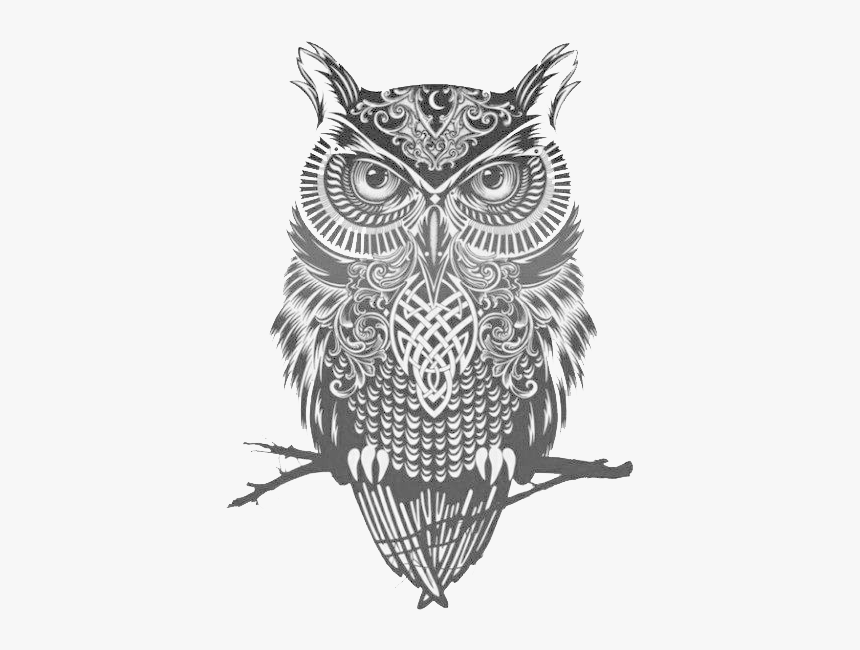 Owl Great Tattoo Flash Idea Horned Clipart - Black And White Owl Drawing, HD Png Download, Free Download