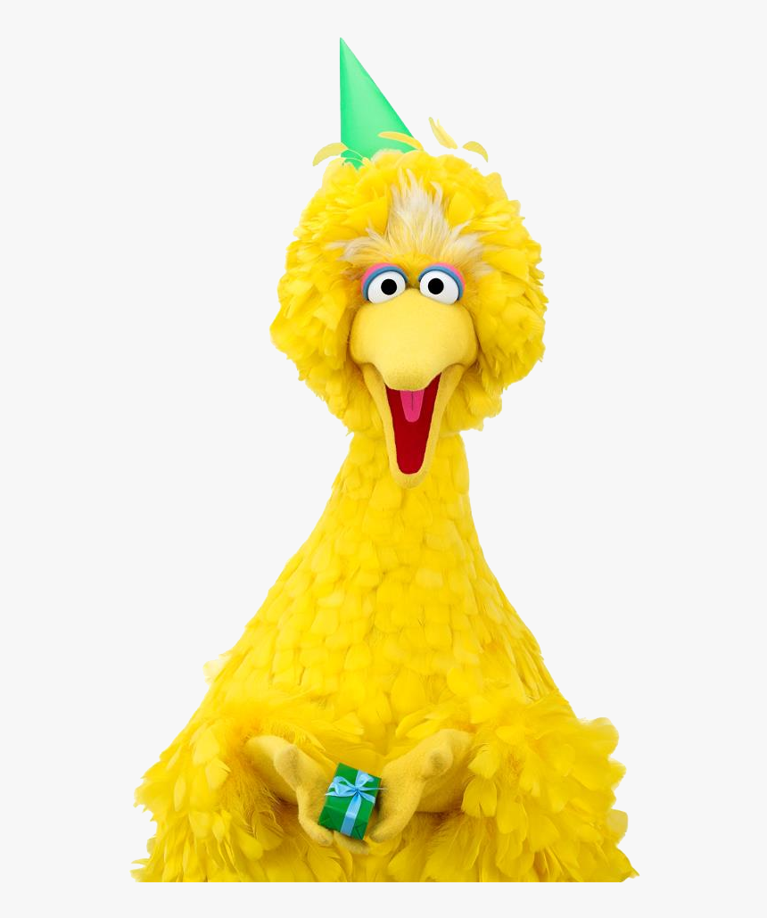 Big Bird Clip Art - Big Bird No Background, HD Png Download, Free Download