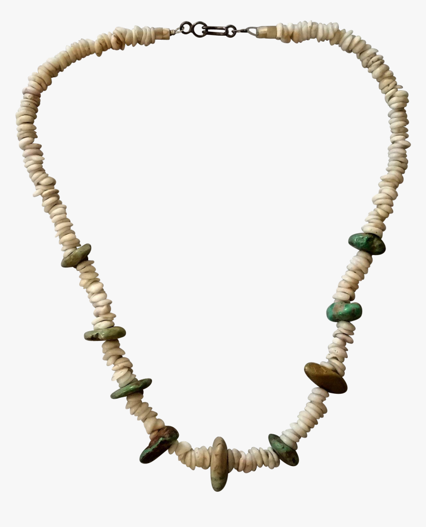 1428 X 1428 - Transparent Shell Necklace Png, Png Download, Free Download