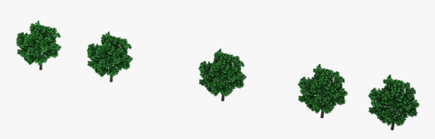 Trees - Tree - Tree, HD Png Download, Free Download