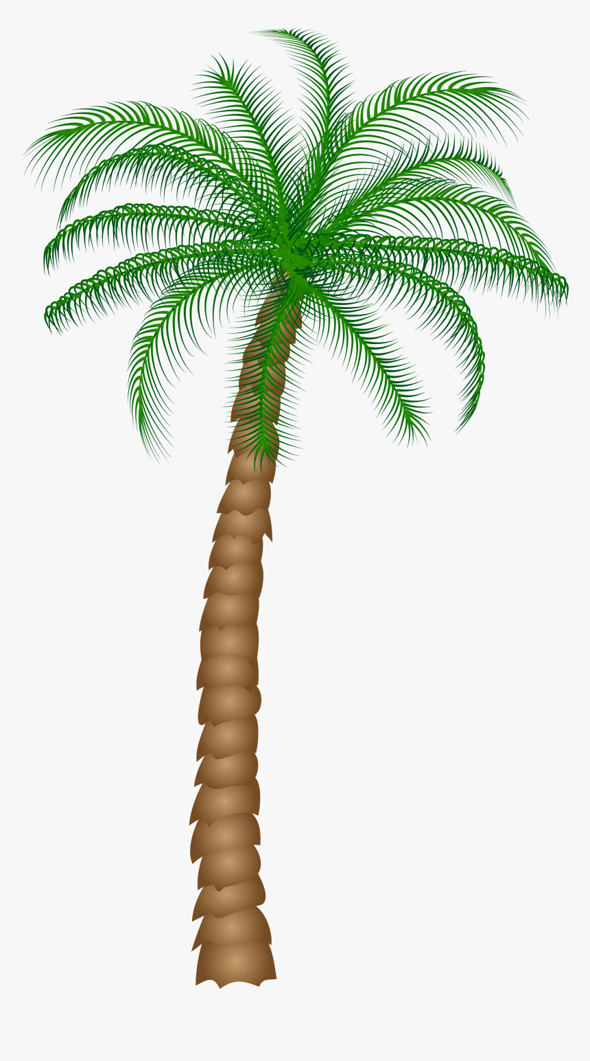 Date Palm Fruit Tree Clipart - Palm Tree Transparent Background, HD Png Download, Free Download