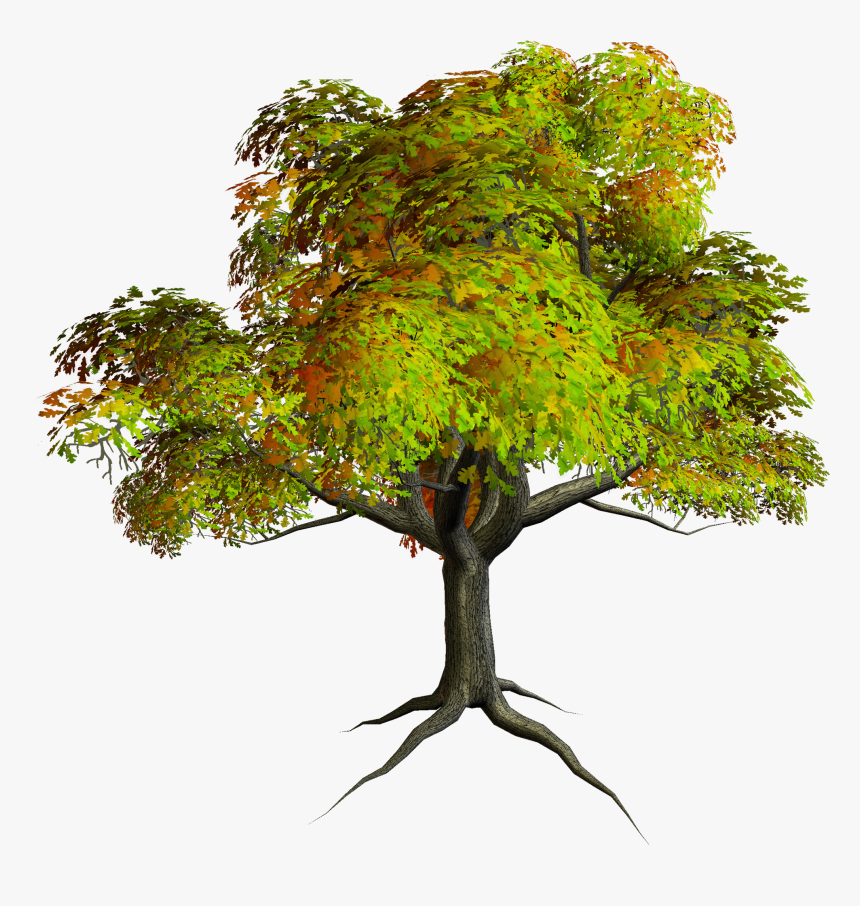 Autumn Png Tree Clipart - Png Format Tree Clipart Png, Transparent Png, Free Download