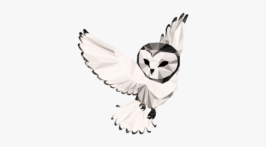 Night Owl Collective - Barn Owl, HD Png Download, Free Download