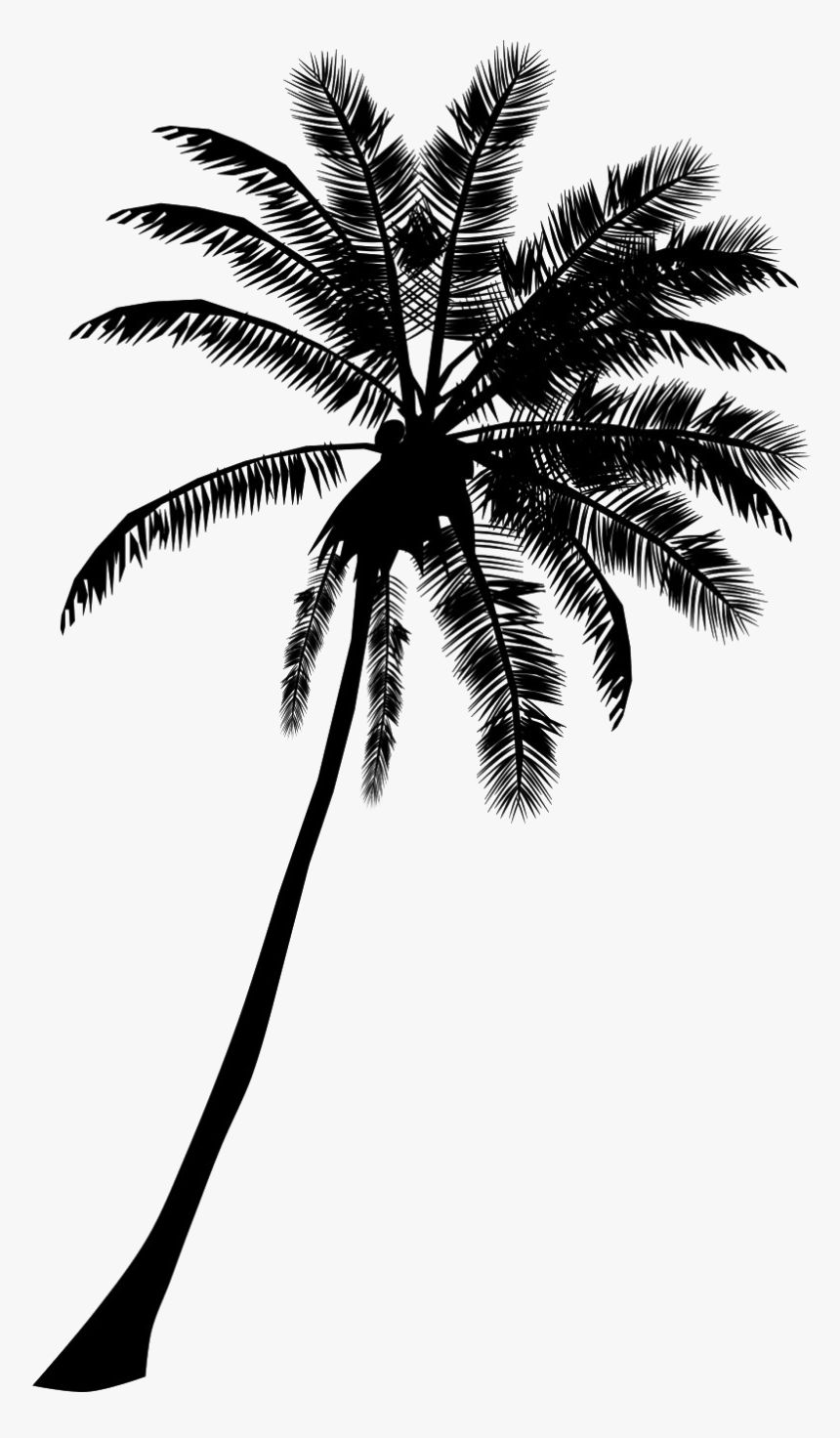 Black Palm Tree Png Hd Quality - Palm Tree Silhouette Clipart, Transparent Png, Free Download