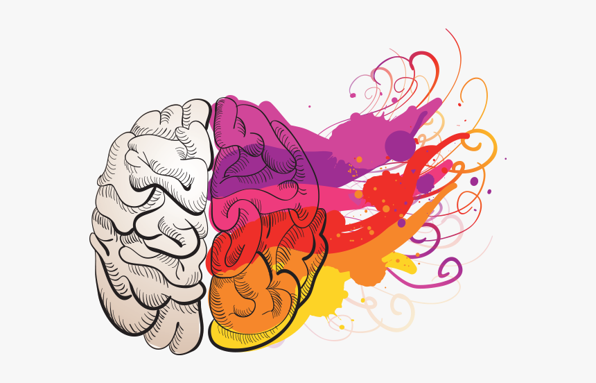 Png Graphic Designs - Brain Creativity, Transparent Png, Free Download