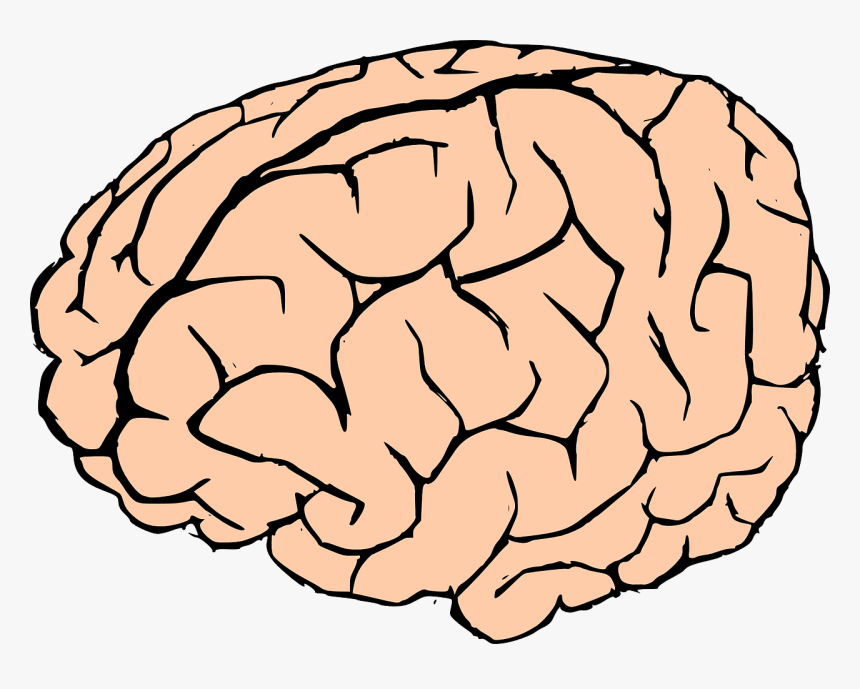 Brain pdf. Мозг рисунок. Мозг раскраска.