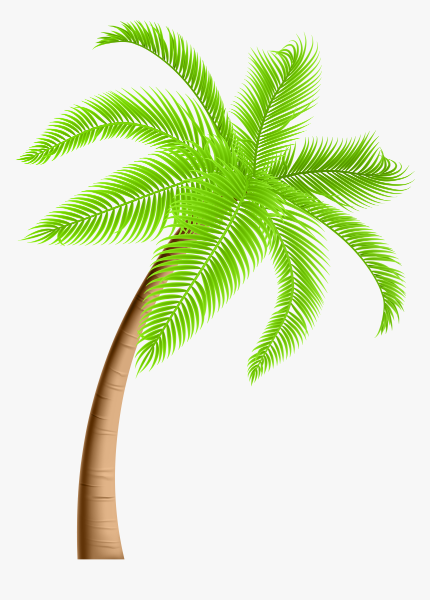Tree Arecaceae Clip Art - Coconut Tree Vector Png, Transparent Png, Free Download