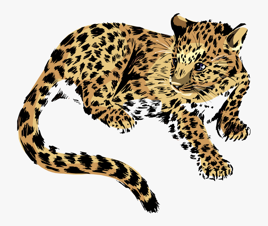 Baby Jaguar Png Transparent Image - Jaguar Clipart Png, Png Download, Free Download