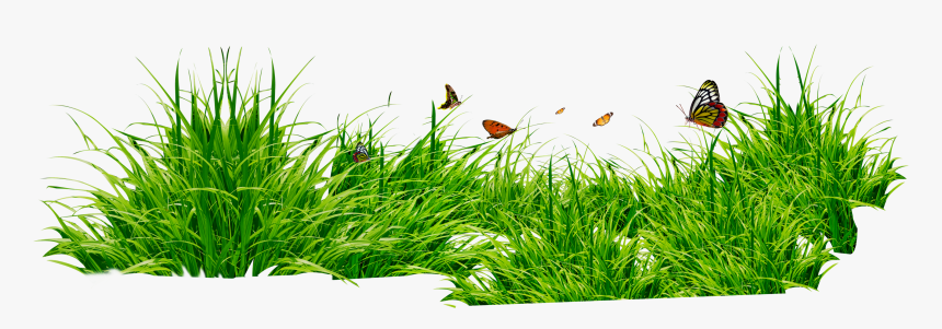 Grass Png Image, Transparent Png, Free Download