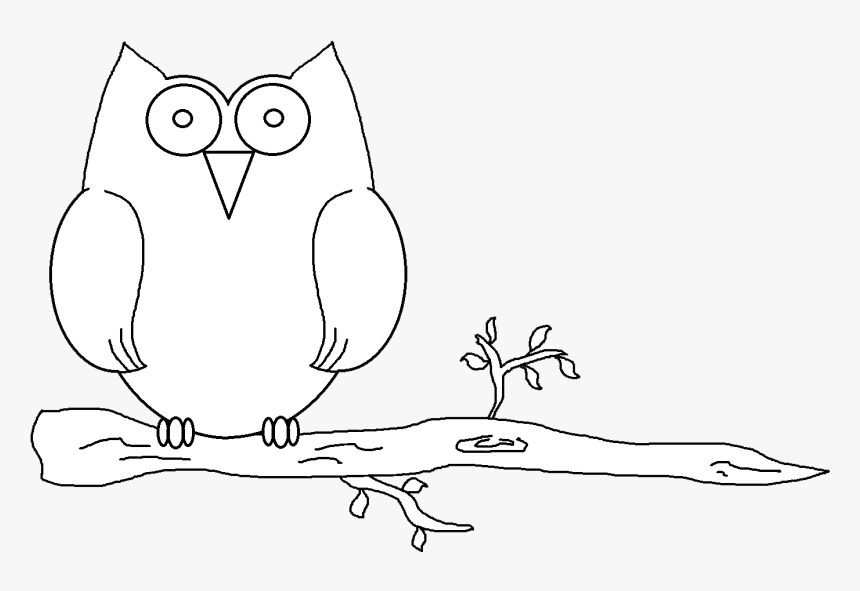 Transparent Owl - Illustration, HD Png Download, Free Download