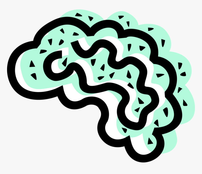 Vector Illustration Of Human Brain Organ Serves As - Illustration, HD Png Download, Free Download