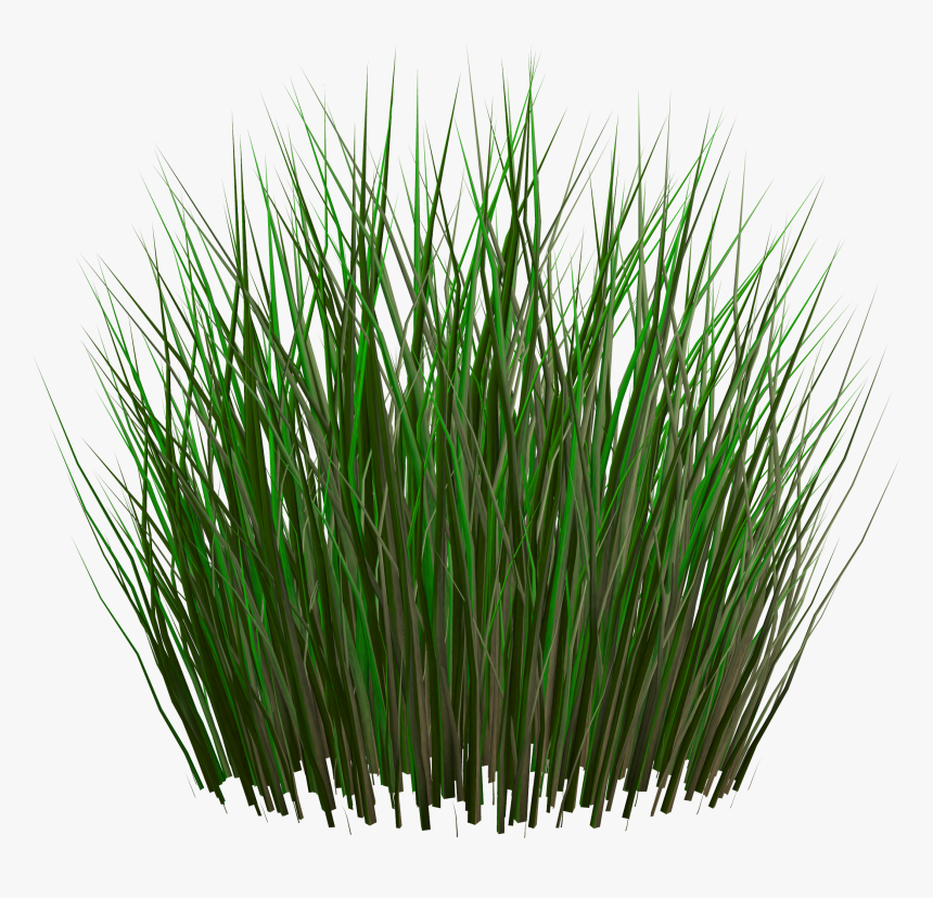 Grass Png Image, Transparent Png, Free Download