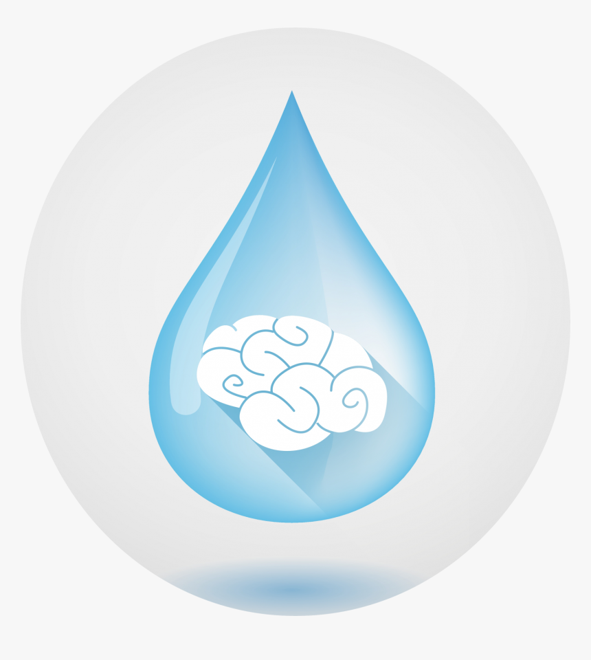 Water Drop And Brain - Circle, HD Png Download, Free Download