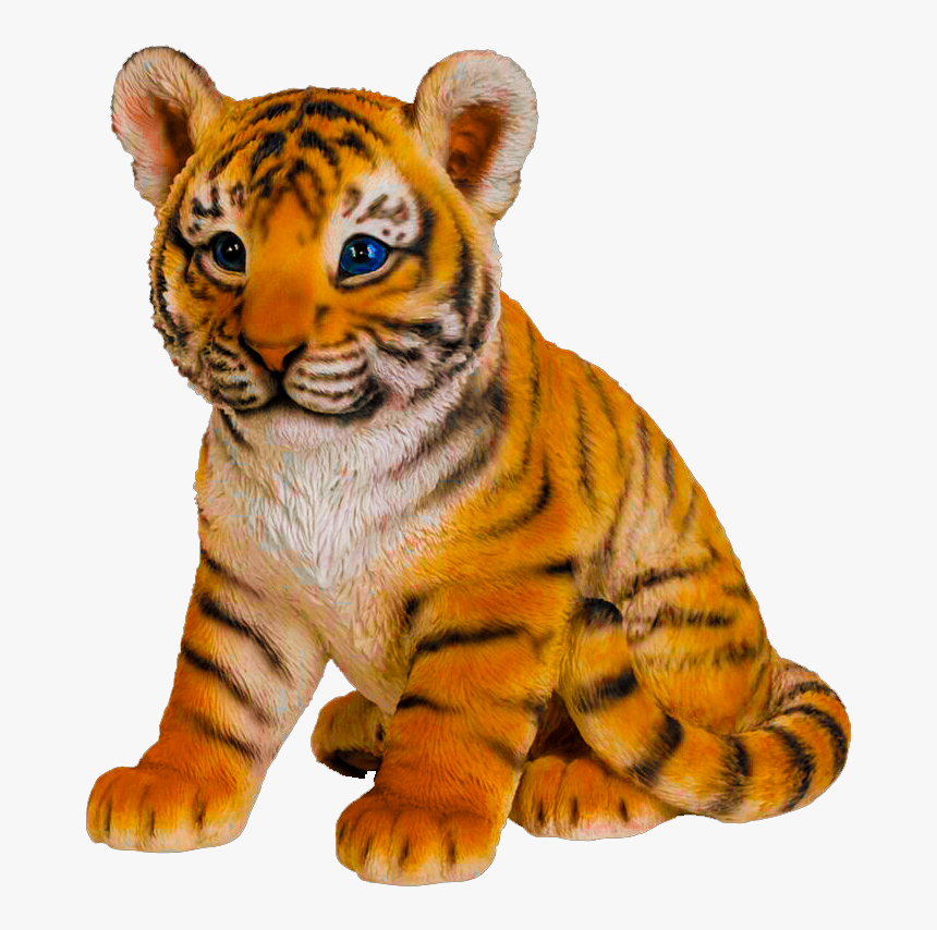 Transparent Wild Animals Png - Baby Tiger, Png Download, Free Download