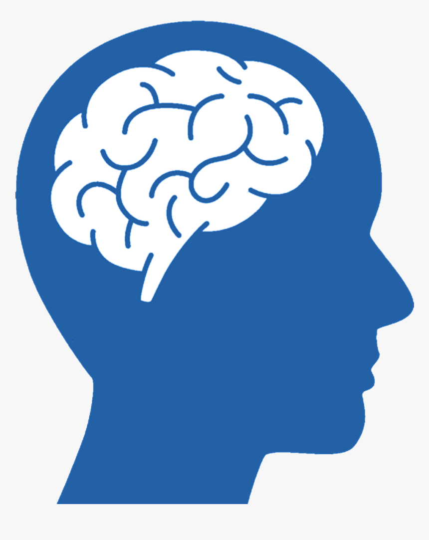 Brain Png Download - Head With Brain Png, Transparent Png, Free Download