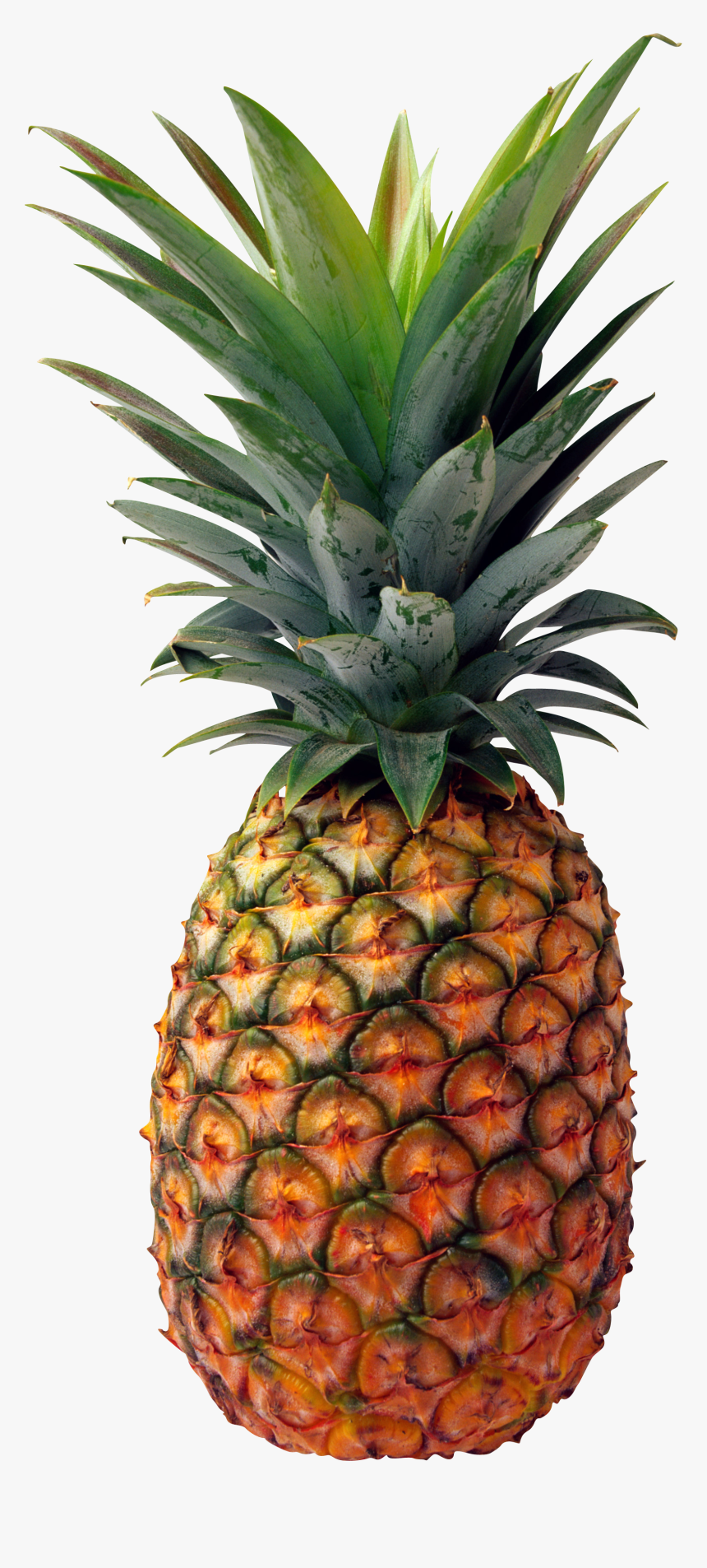 Pineapple Png Image, Free Download - Transparent Pineapple Png, Png Download, Free Download