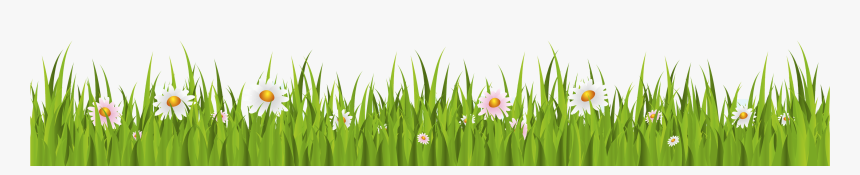 Grass Background Png - Green Grass Png Background, Transparent Png, Free Download