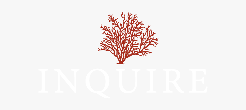 Inquire - Illustration, HD Png Download, Free Download