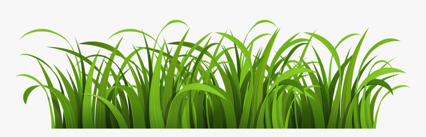 Grass Png Image, Transparent Png, Free Download