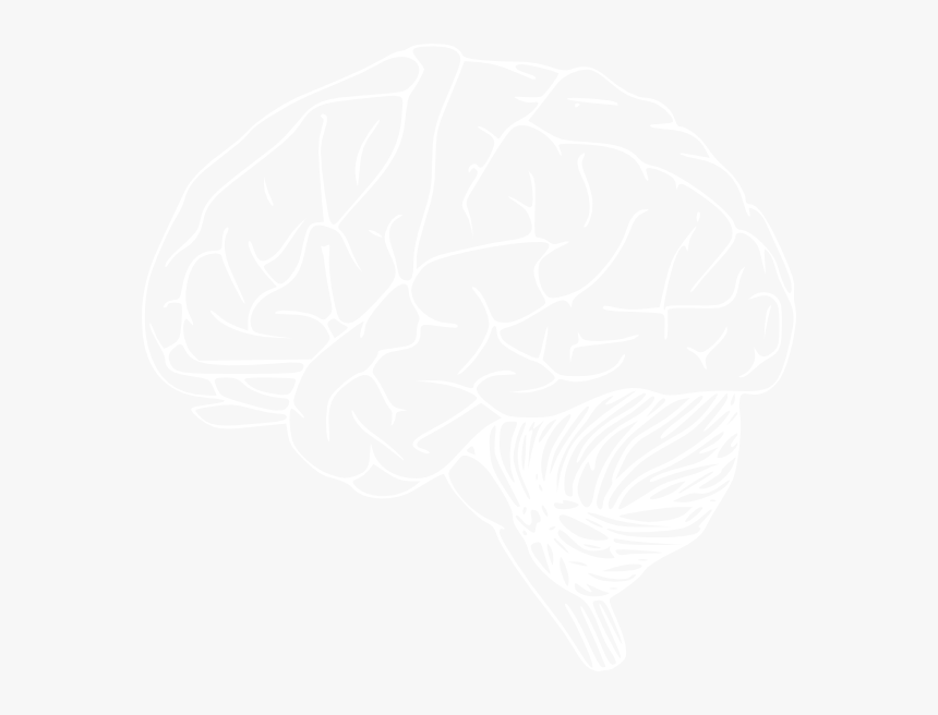 Transparent Brain Png - White Brain Outline Png, Png Download, Free Download