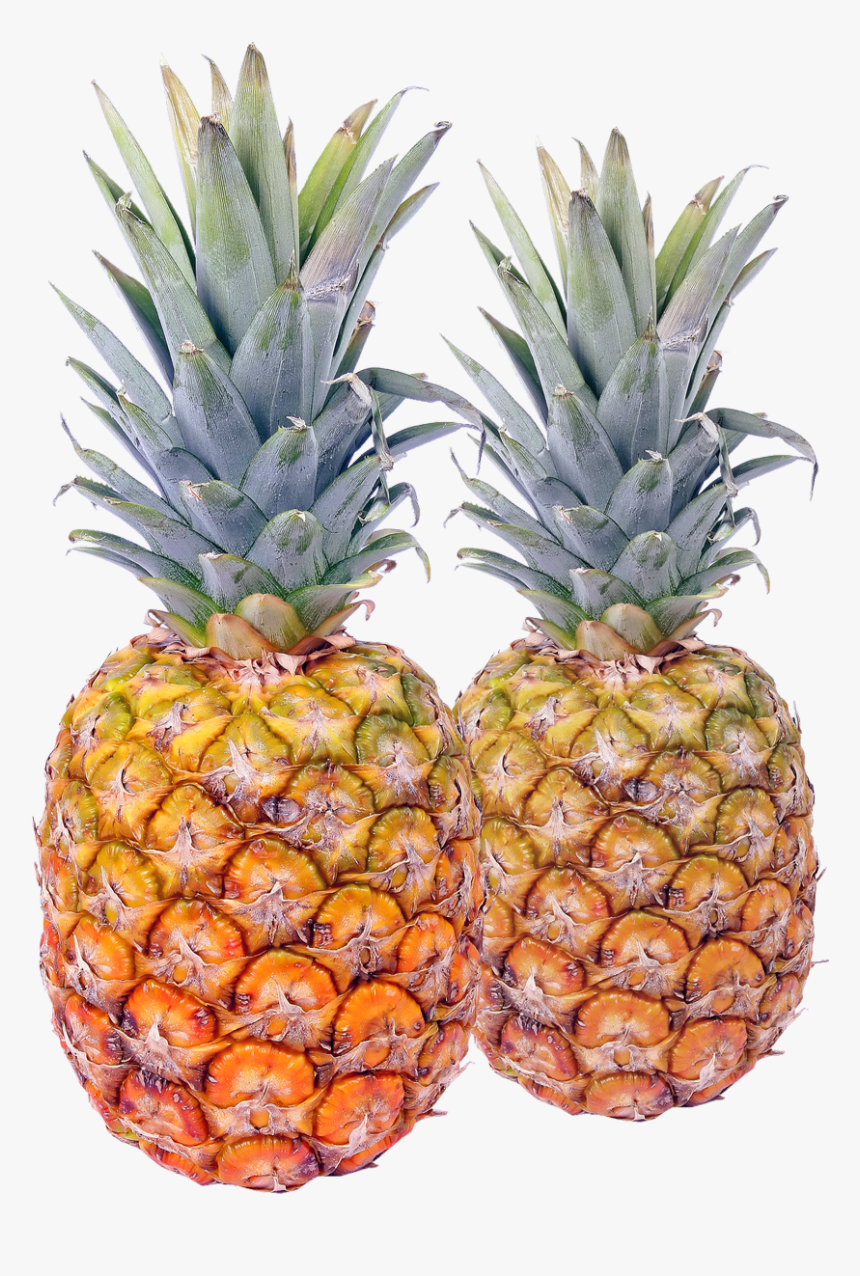 Pineapple Png Image, Transparent Png, Free Download