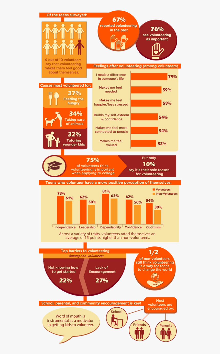 The Virtuous Cycle Of Teen Volunteering Infographic - Brochure, HD Png Download, Free Download