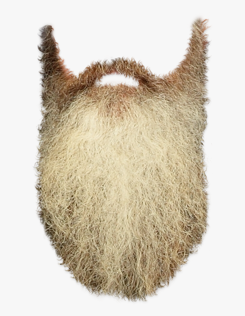 Beard Png - Long Beard Transparent Background, Png Download, Free Download