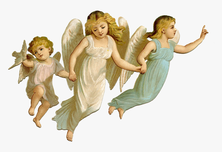 Baby Angel Png Pic - Angel Png, Transparent Png, Free Download