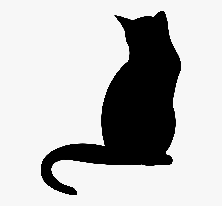 Shadow Of A Cat, HD Png Download, Free Download
