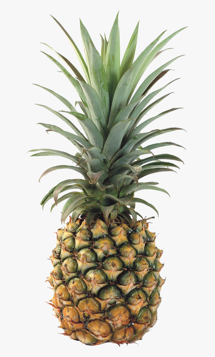 Pineapple Transparent Background - Pine Apple, HD Png Download, Free Download